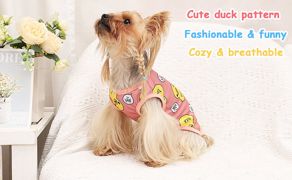 puppy clothes
