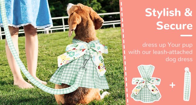 dog dress