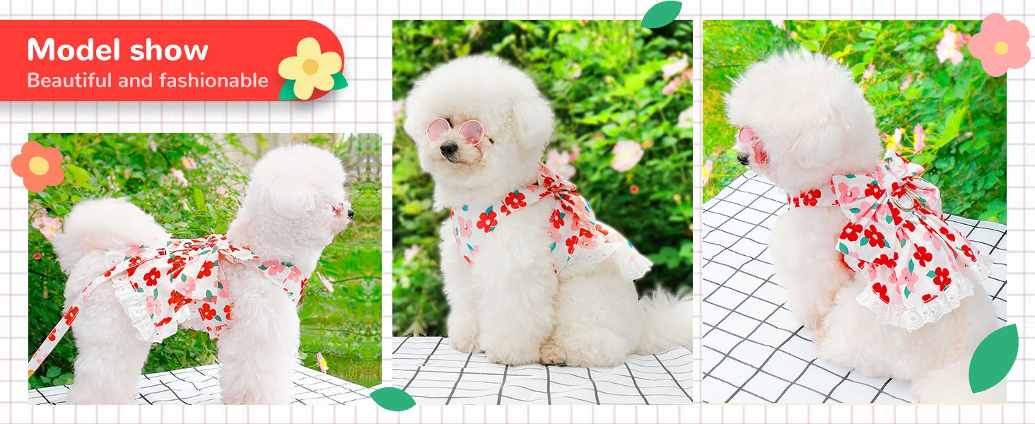 dog dress harness