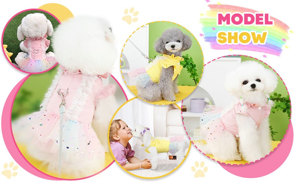 puppy dresses