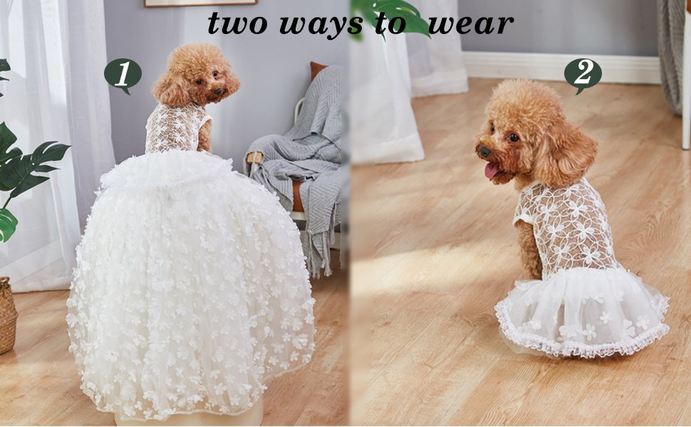 dog wedding dress