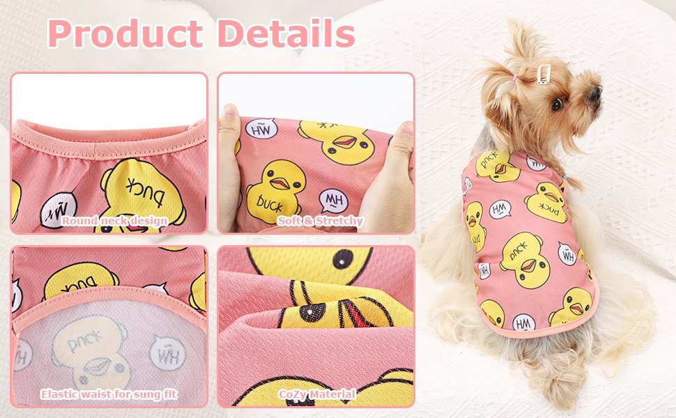 dog summer clothes