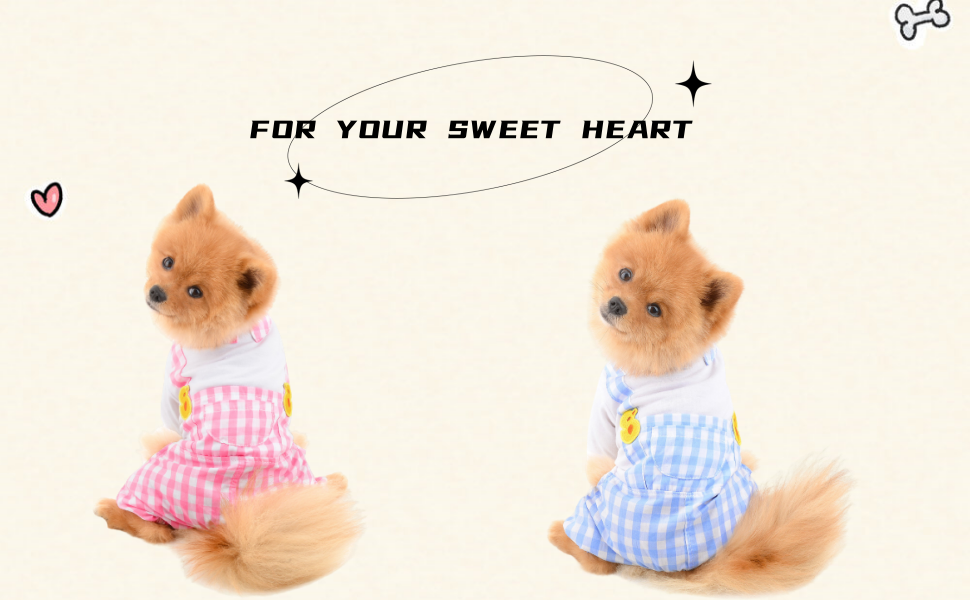 dog outfits