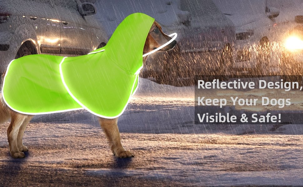 dog raincoat
