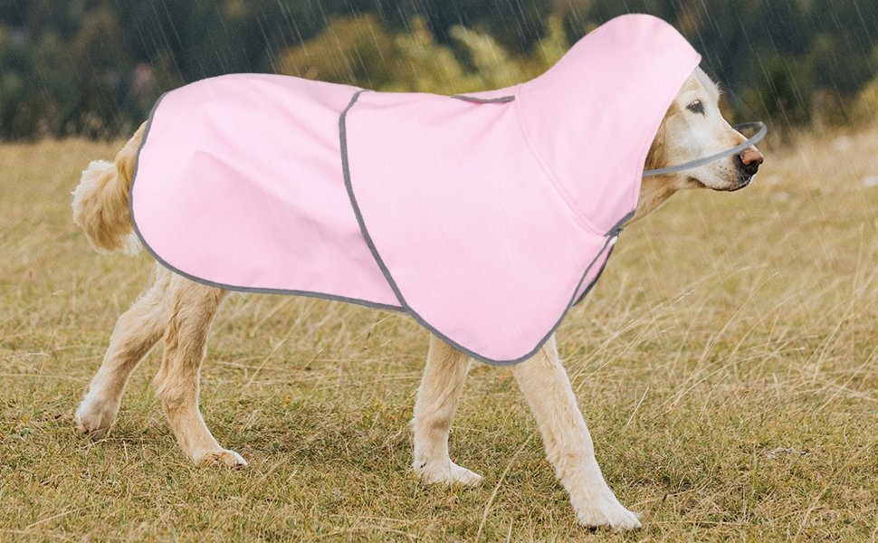 dog raincoat
