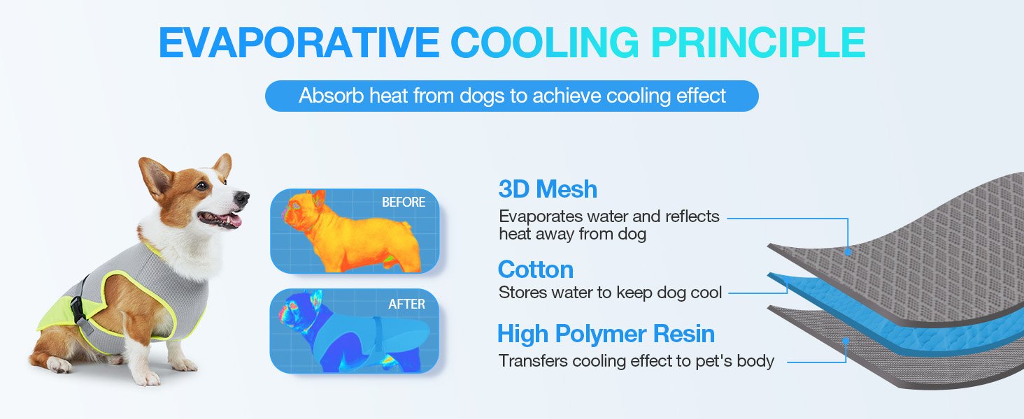 cooling vest