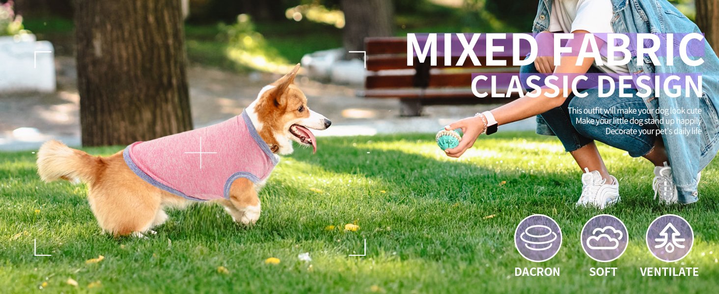 Summer Dog Tank Top