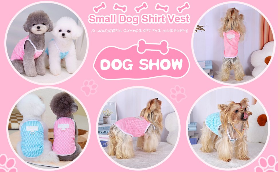 Dog Clothes