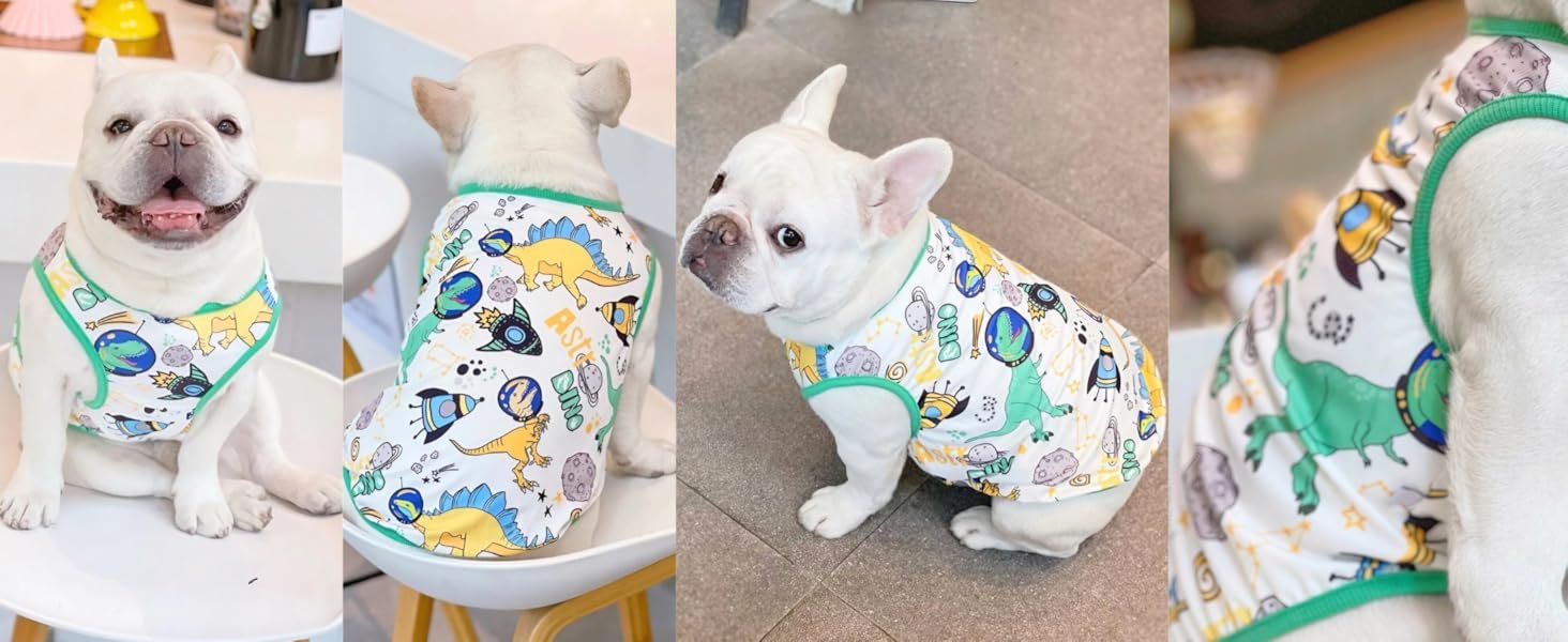 dog cooling vest - dinosaur