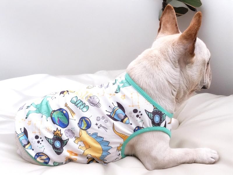 dog summer clothes
