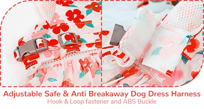 dog dress harness
