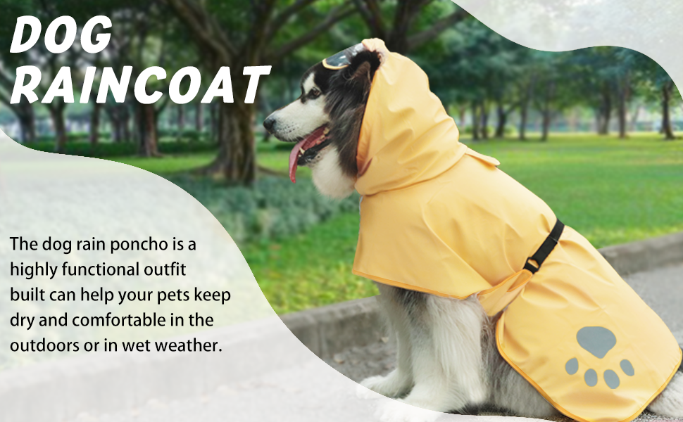 dog Raincoat