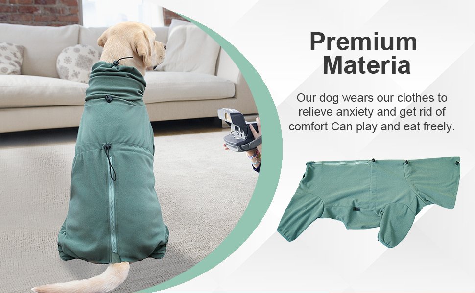 Dog Pajamas Green 02