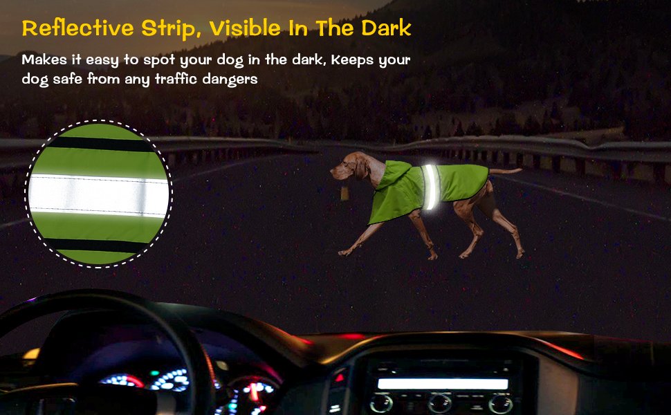 dogs rain coats