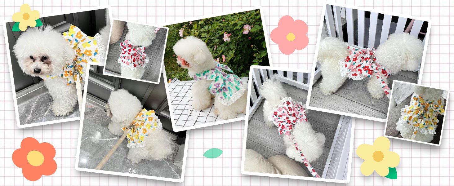 dog dress
