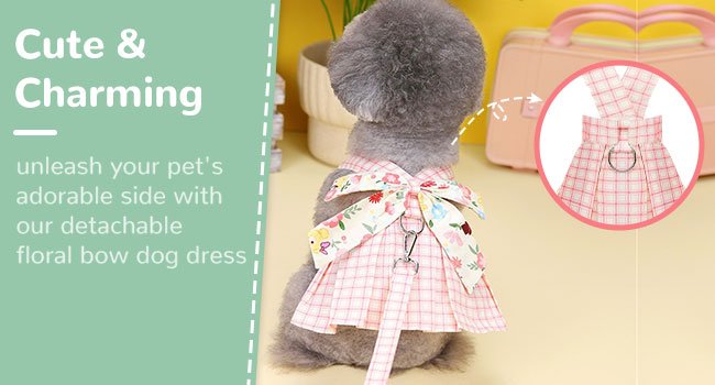dog dress