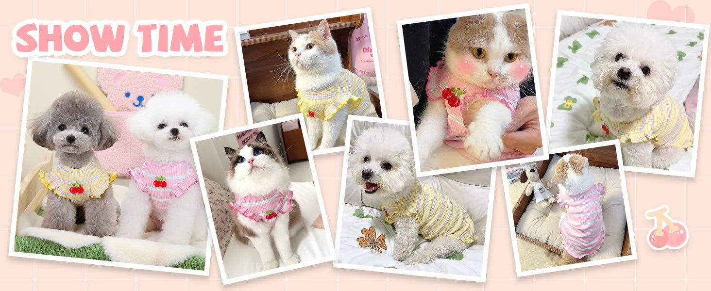 Striped Small Girl Dog T Shirt
