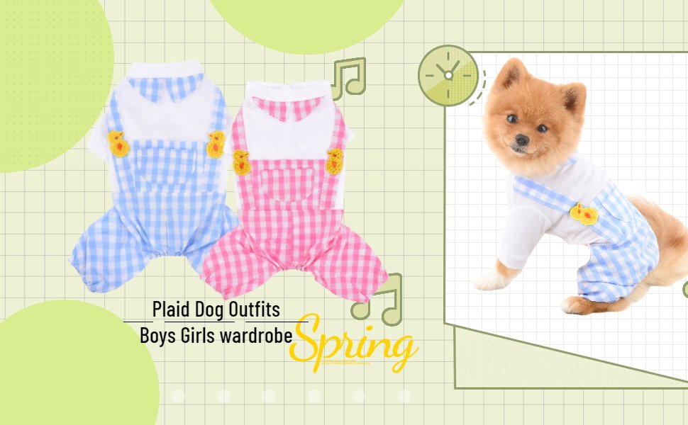 dog outfits