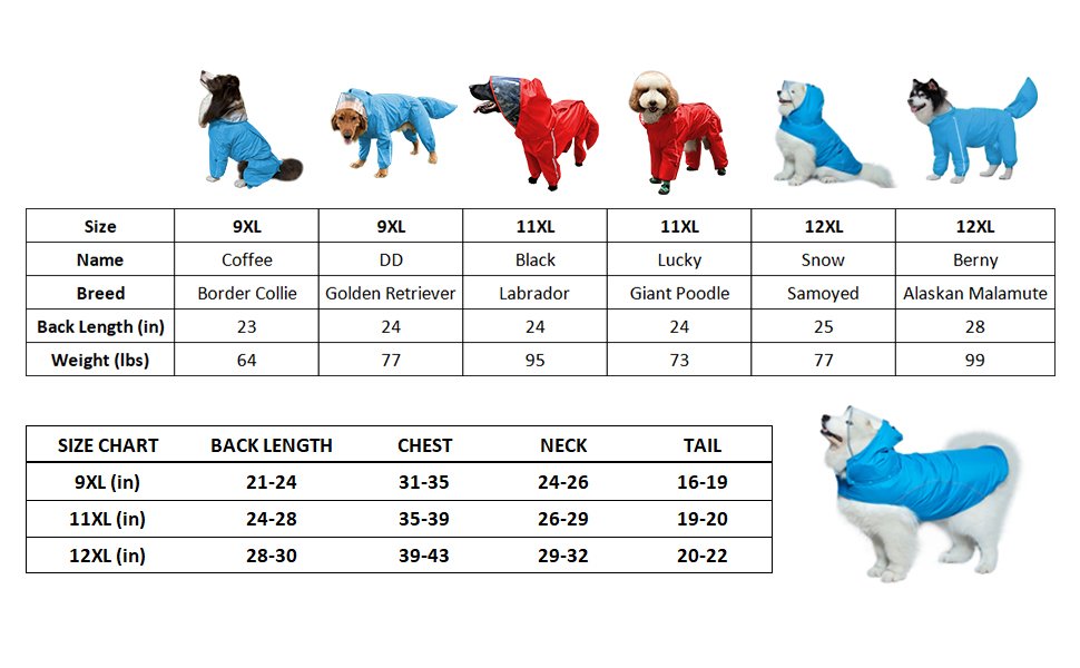 Dog raincoat picture 4