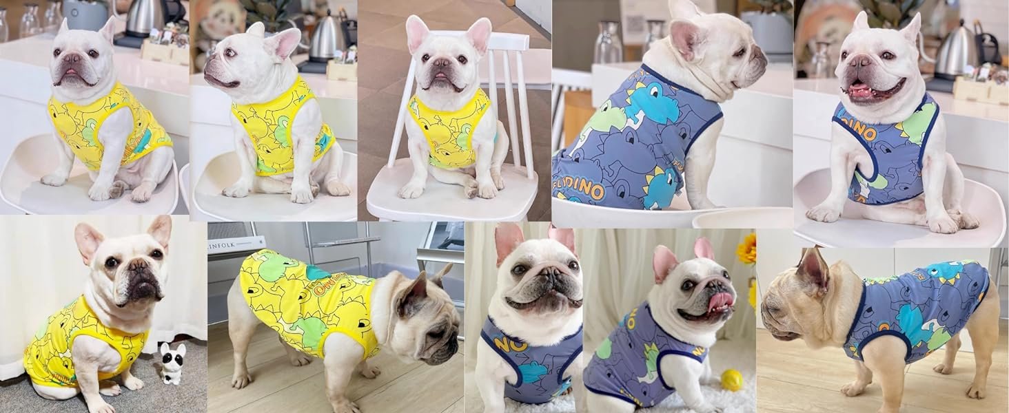 dog shirts