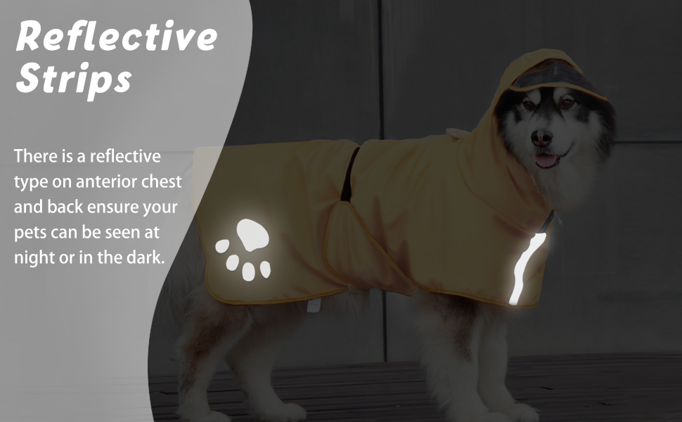 dog raincoat