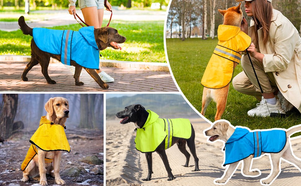 dog rain jacket