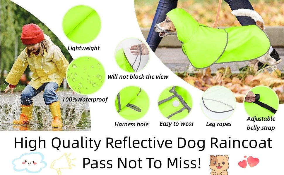 dog riancoat